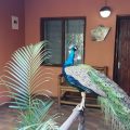 Umfolozi River Lodge & Bird Park