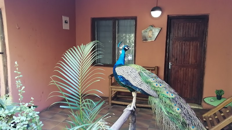 Umfolozi River Lodge & Bird Park in Mtubatuba, South Africa