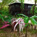 Upachaya Eco-Lodge & Wellness Resort