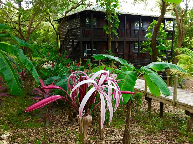 Upachaya Eco-Lodge & Wellness Resort in Roatan, Honduras