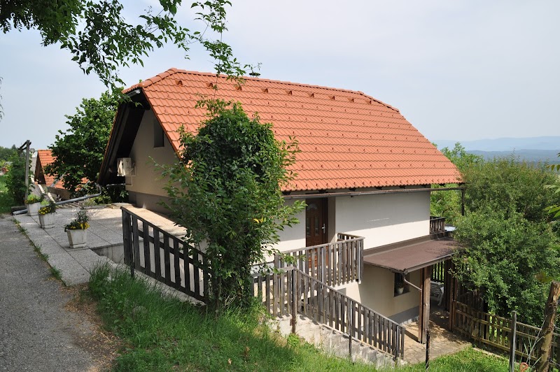 Vineyard Cottage Skaza in Slovenske Konjice, Slovenia