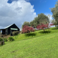 Waimauku Cottage