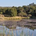 Waterberg Game Lodge