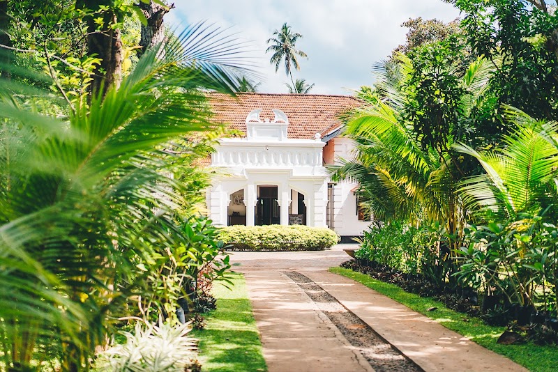 We Escape in Weligama, Sri Lanka