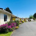 Whanganui River Top 10 Holiday Park