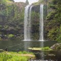 Whangarei Falls Holiday Park & BBH Backpackers