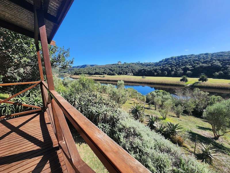 Wild Olive Guest Farm in Riversdale, South Africa