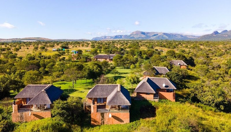 Wildthingz Lodge in Polokwane, South Africa