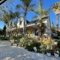 Yellow Aloe Guesthouse