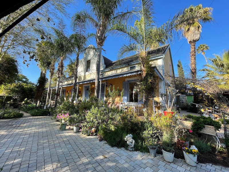 Yellow Aloe Guesthouse in Polokwane, South Africa