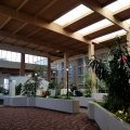 Amarillo Inn & Suites
