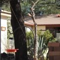 Battiste Bed, Breakfast and Birds