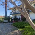 Bed & Breakfast Inn at the Park