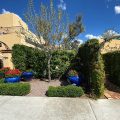 Bespoke Inn Scottsdale