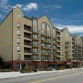 Black Bear Inn & Suites