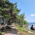 Blue Sevan Hotel