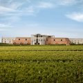 Bodega y Cabañas Monteviejo