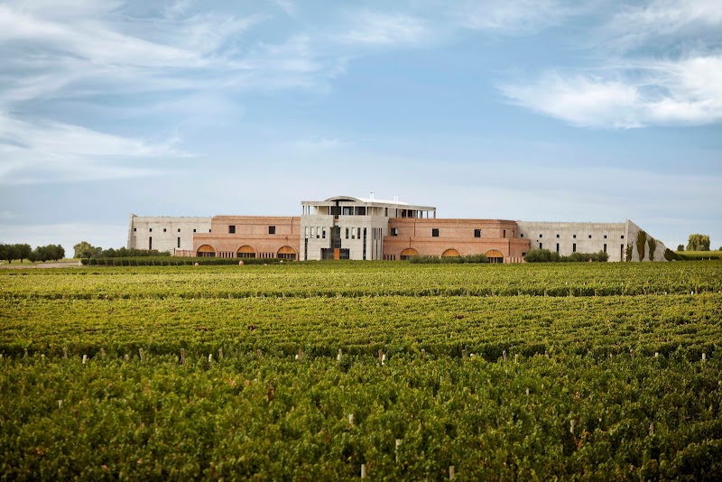 Bodega y Cabañas Monteviejo in Maipu, Mendoza, Argentina
