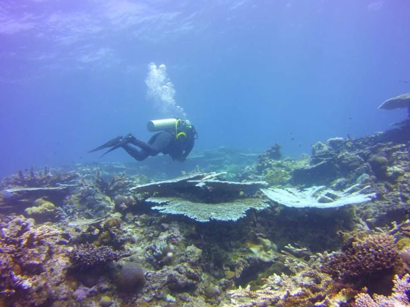 Bokissa Private Island Resort in Luganville, Vanuatu