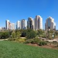 Bosques de Montemar