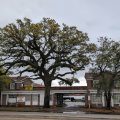 Budget Inn Jackson