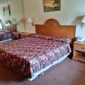 Capri Lynbrook Motor Inn