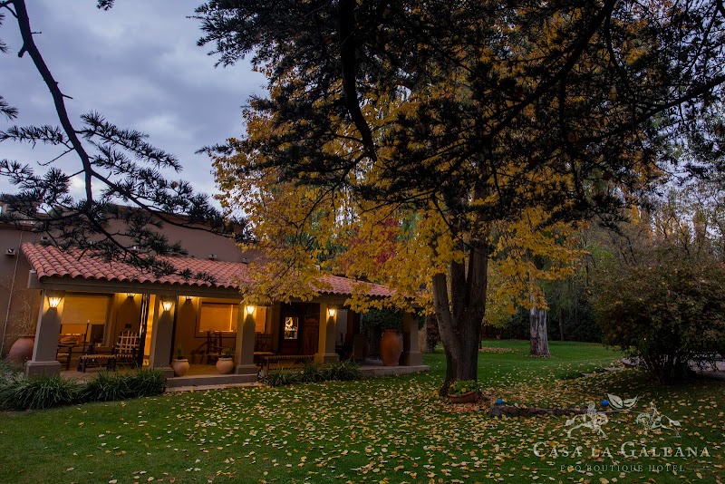 Casa La Galeana in Lujan de Cuyo, Argentina
