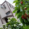 Cherry Garden Boutique Hotel