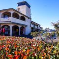 Civic Center Motel