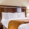 Comfort Suites Southington – Cheshire