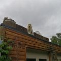 Daniels Lake Lodge Cabins