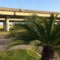 Days Inn by Wyndham Gretna New Orleans