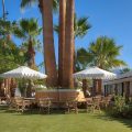 Dive Palm Springs