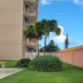 Dolphin Tower Apartment