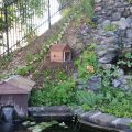 Dutcher Creek Village