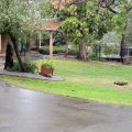 Fawndale Lodge and Cabins