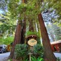 Fern Grove Cottages