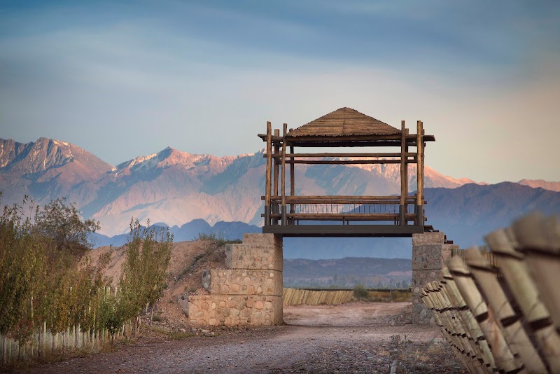Finca Agostino in Maipu, Mendoza, Argentina