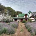 Finca La Julia