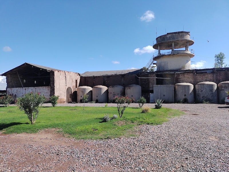 Finca Terrada in Maipu, Mendoza, Argentina