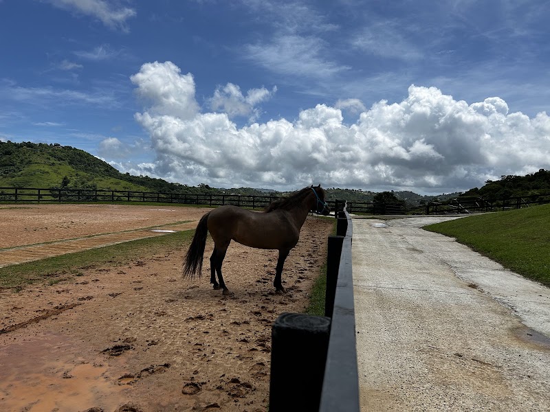 Hacienda Madrigal in Cidra, Puerto Rico, United States