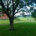 Halcyon Farm Bed & Breakfast