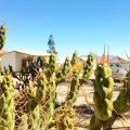 Hostal Chacana