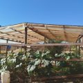 Hostal Sol de Pichilemu