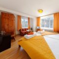 Hotel Alpin