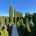 Hotel Ameli