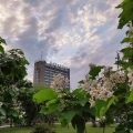 Hotel Berdiansk