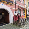 Hotel Bílý Koníček