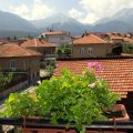 Hotel Bizev