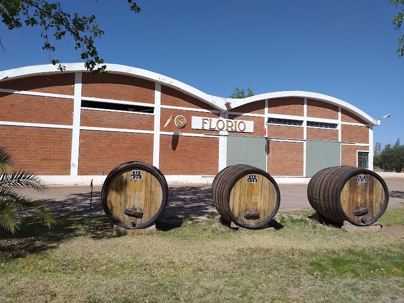 Hotel Boutique Bodega Florio in Lujan de Cuyo, Argentina